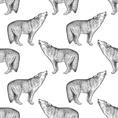 Behang Huilende wolven geschetst in potlood