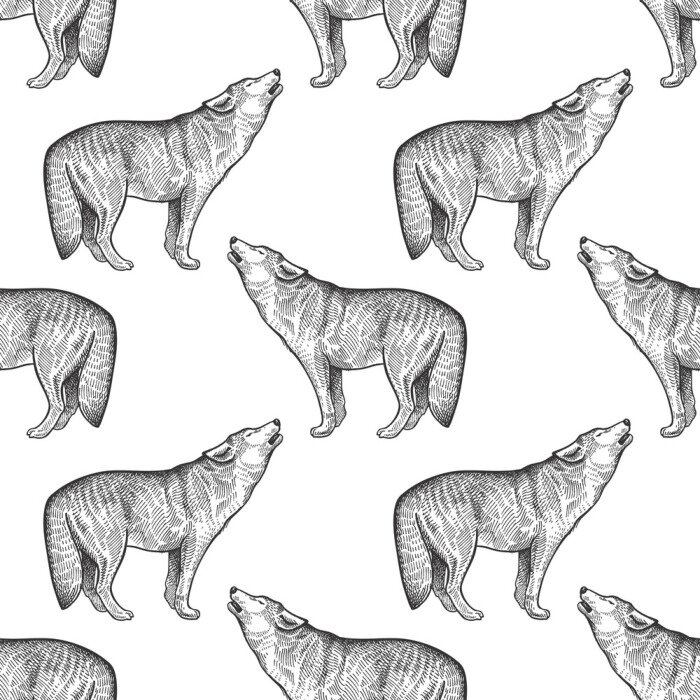 Behang Huilende wolven geschetst in potlood