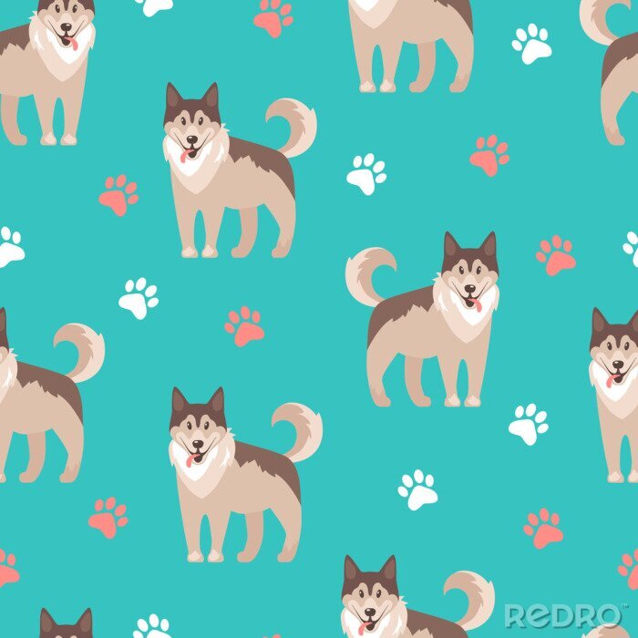 Behang Husky honden op turquoise achtergrond