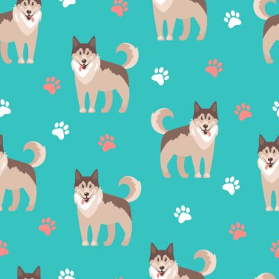 Behang Husky honden op turquoise achtergrond