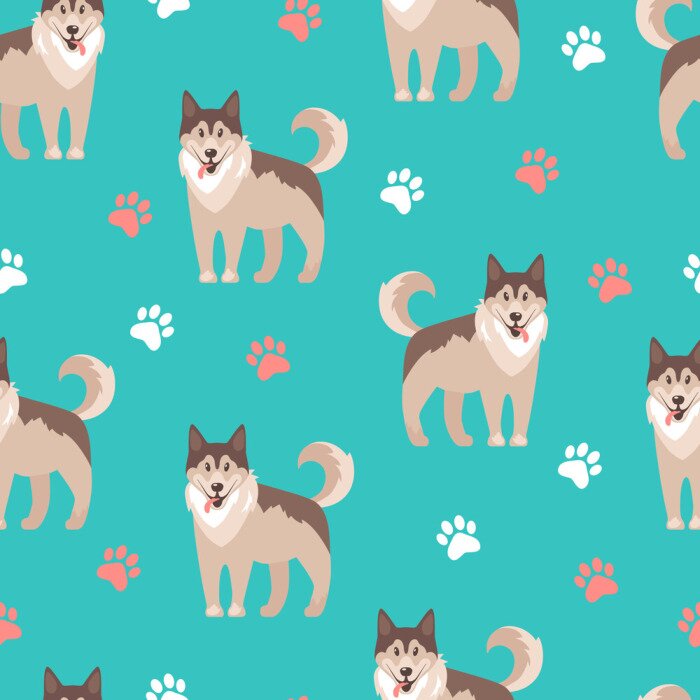 Behang Husky honden op turquoise achtergrond