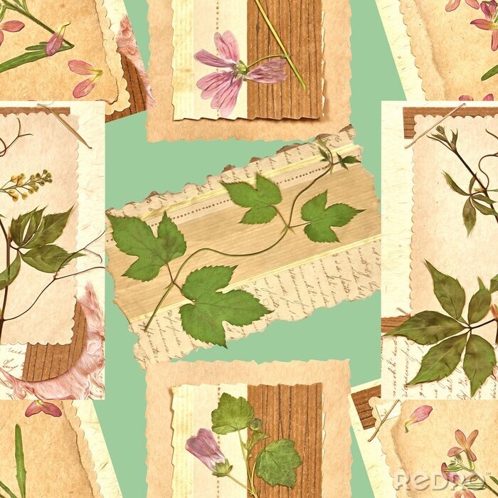 Behang Imitatie van een collage met planten