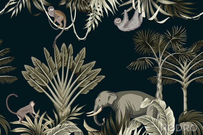 Behang Jungle dieren op een zwarte achtergrond