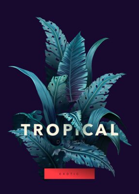 Jungle en tropische letters