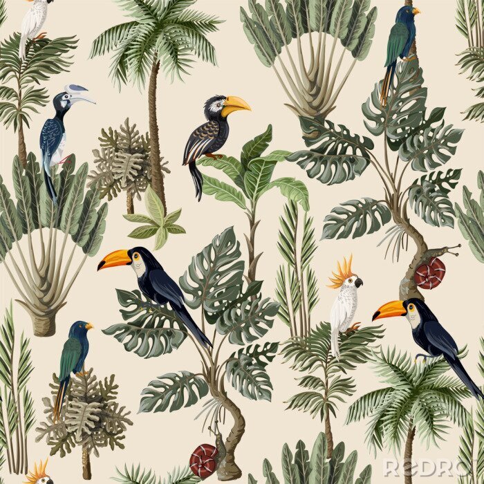 Behang Jungle grijze kleur achtergrond en vogels