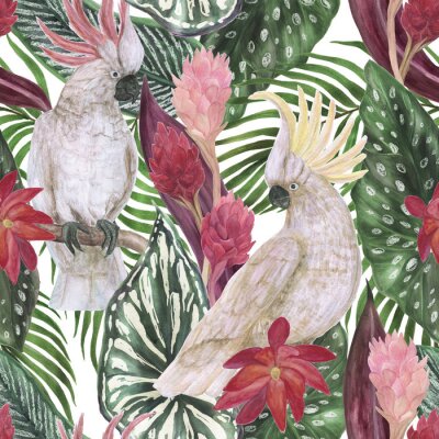 Kaketoe papegaaien en bladeren