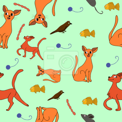 Behang Kat van Chihuahua