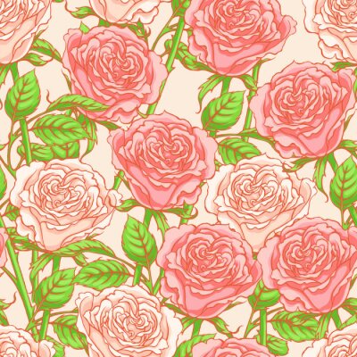 Behang Klassieke roze rozen op retro graphics
