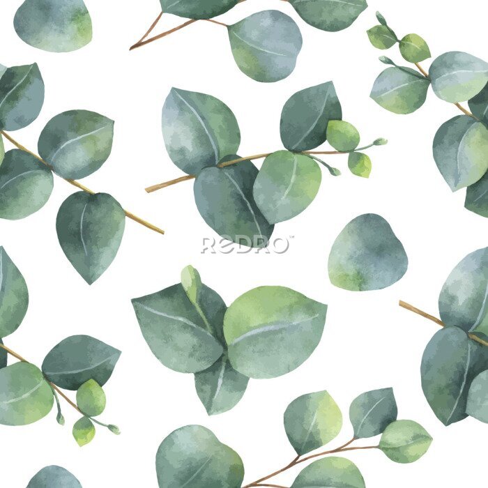 Behang Kleine eucalyptusbladeren