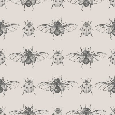 Behang Kleine lieveheersbeestjes