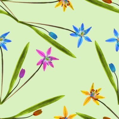 Behang Kleine veelkleurige petunia's