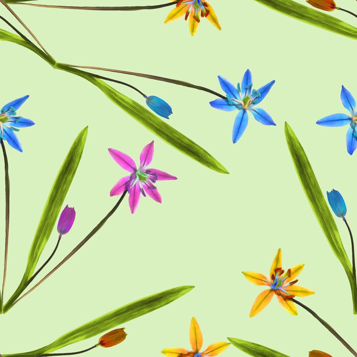 Behang Kleine veelkleurige petunia's