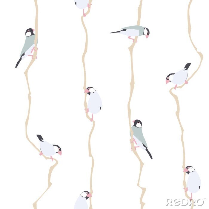 Behang Kleine vogels op verticale takken