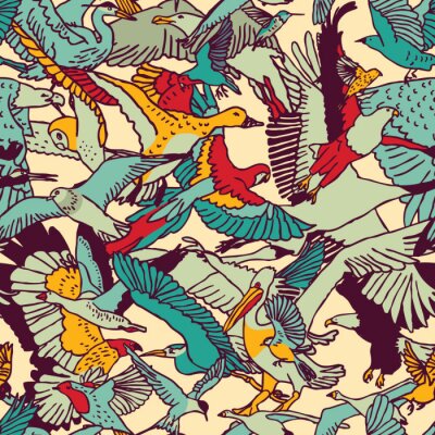 Kleurrijk ontwerp met vogels