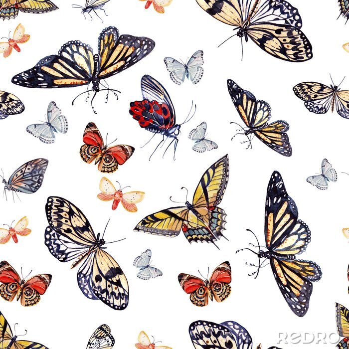 Behang Kleurrijke grote en kleine vlinders