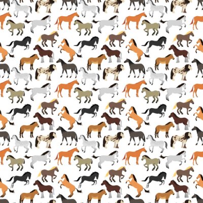 Behang Kleurrijke paarden op een witte achtergrond