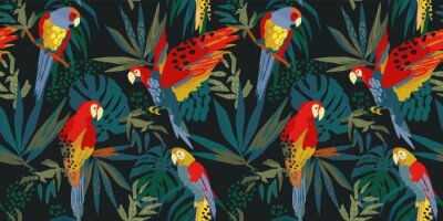 Behang Kleurrijke papegaaien in de tropen