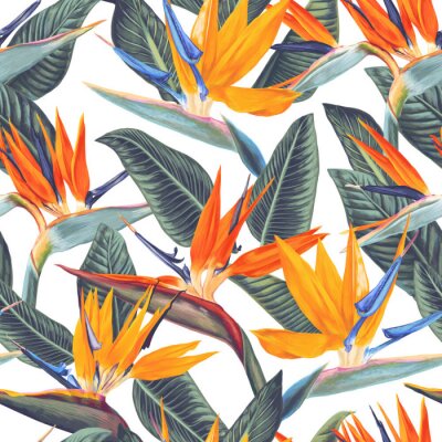 Behang Kleurrijke tropische bloemen op een witte achtergrond