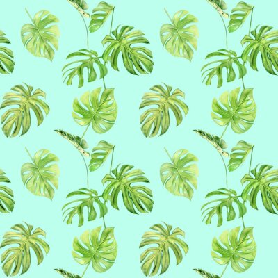 Behang Kleurrijke tropische monstera