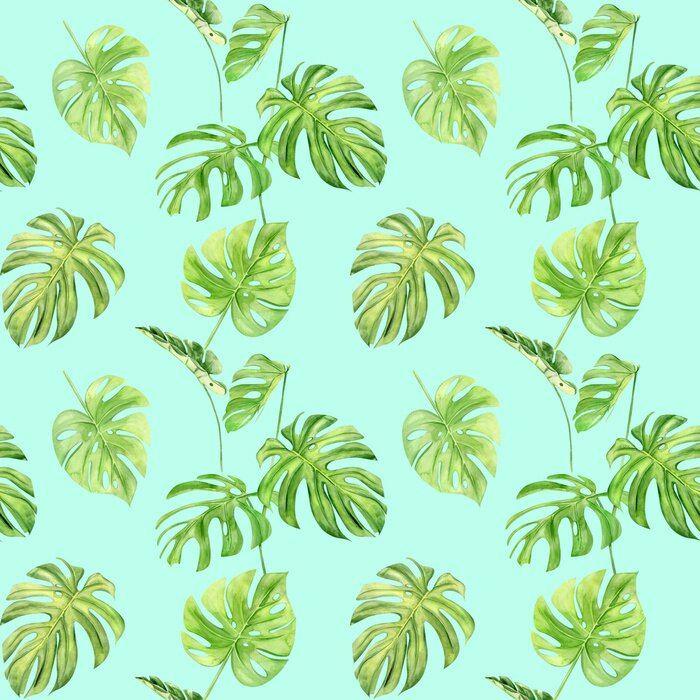 Behang Kleurrijke tropische monstera