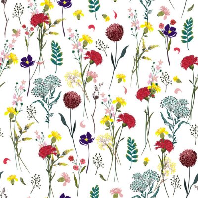 Behang Kleurrijke veldbloemen in de zomer