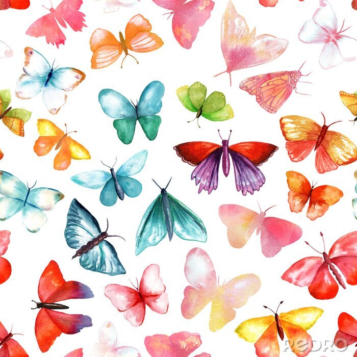 Behang Kleurrijke vlinders in verschillende vormen