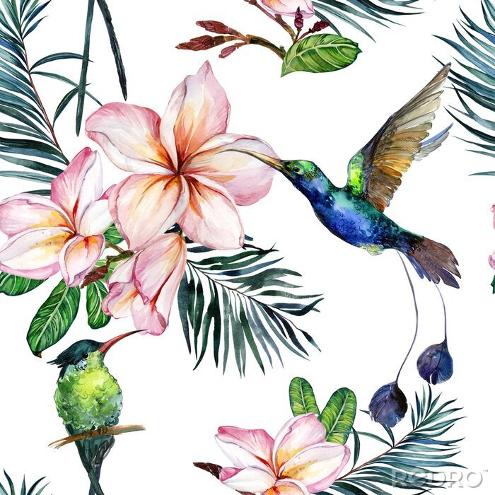 Behang Kleurrijke vogels en bloemen op een witte achtergrond