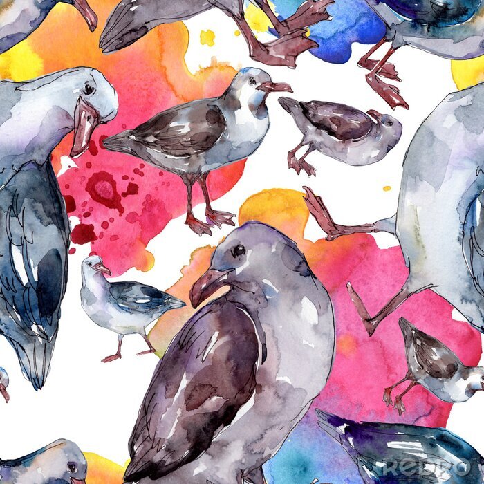 Behang Kleurrijke vogels geschilderd met waterverf