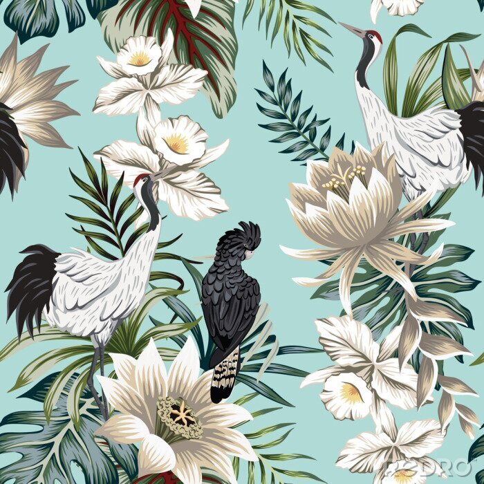 Behang Kraanvogels en papegaaien tussen witte tropische bloemen