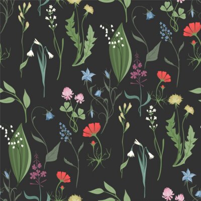Behang Kruiden en wilde bloemen op een donkere achtergrond