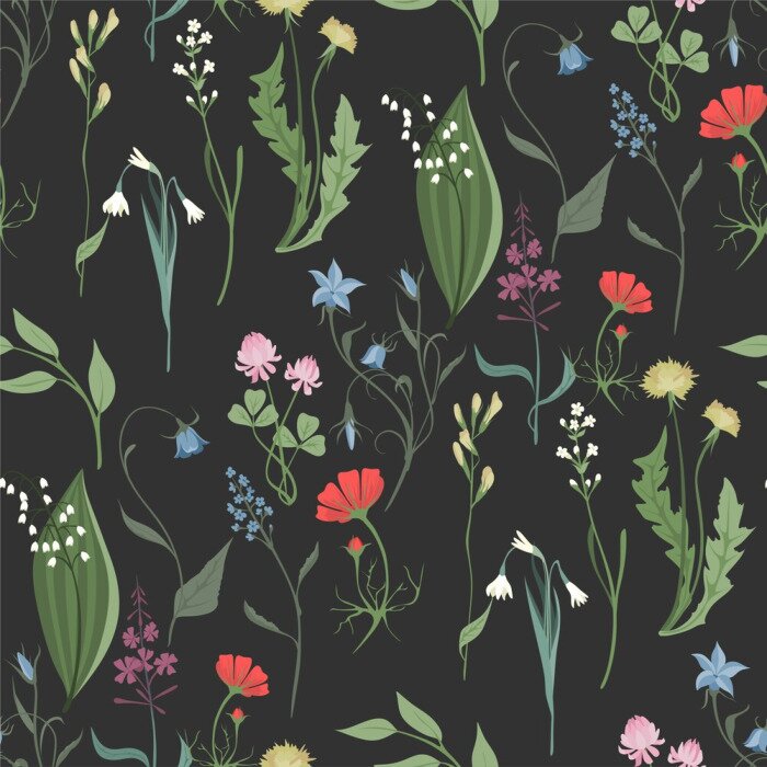 Behang Kruiden en wilde bloemen op een donkere achtergrond