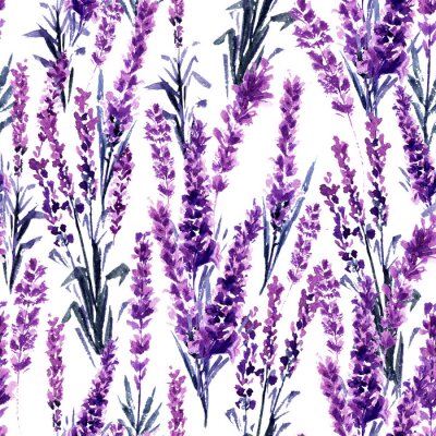 Behang Lavendel veld naadloze patroon. Aquarel of Aquarelle Schilderijen van Provence Lavandula. Hand getrokken thee kruiden bloem. Zomerbloesem of gebladerte van tuinplant in Aquarelle. Natuur en parfum.