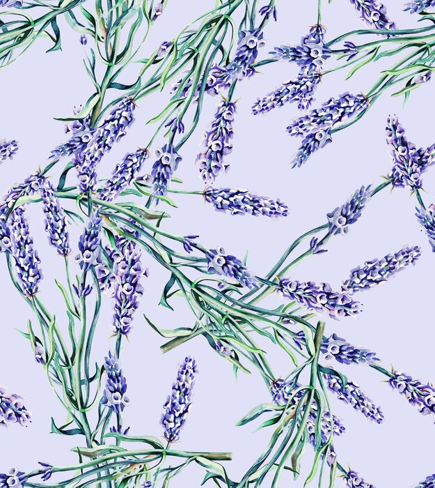 Behang Lavendelbloemen op paarse achtergrond