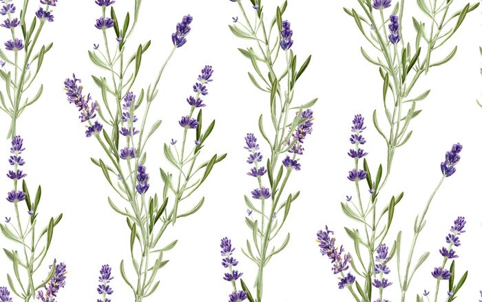 Behang Lavendeltakjes op een witte achtergrond