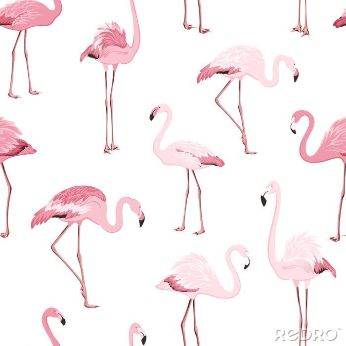 Behang Lichtroze flamingo's op een motief met een witte achtergrond
