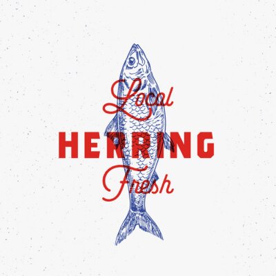 Local Fresh Herring. Abstract Vector Sign, Symbol or Logo Template. Hand Drawn Herring Fish with Classy Retro Typography. Vintage Vector Emblem with Retro Print Effect.