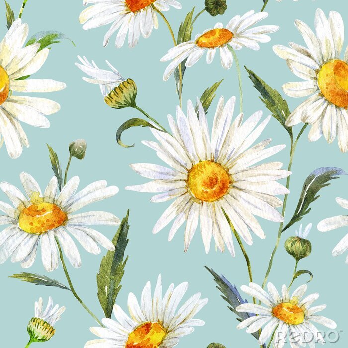 Behang Madeliefjes geschilderd met waterverf