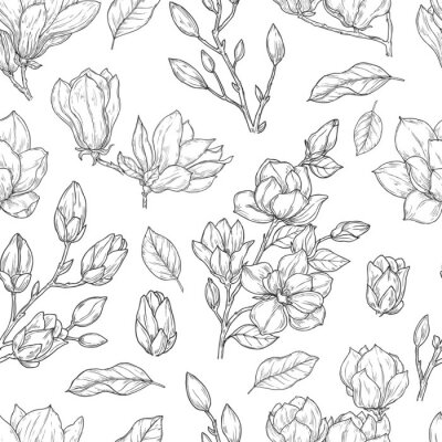 Behang Magnolia pattern. Sketch flower ornate seamless texture. Vintage floral print drawing with botanical elements. Plants vector background. Magnolia floral spring decoration pattern illustration