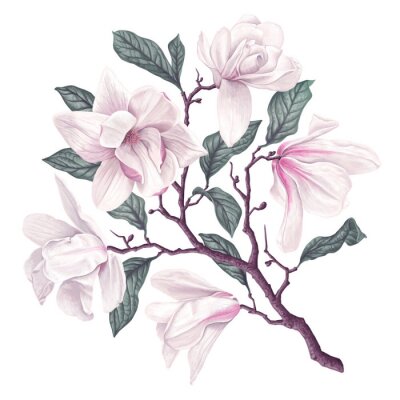 Magnoliatak met roze bloemblaadjes