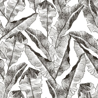 Behang Met potlood geschetste tropische bladeren