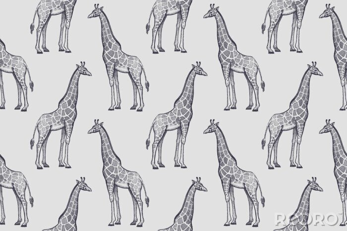 Behang Minimalistisch patroon met giraffen op een grijze achtergrond