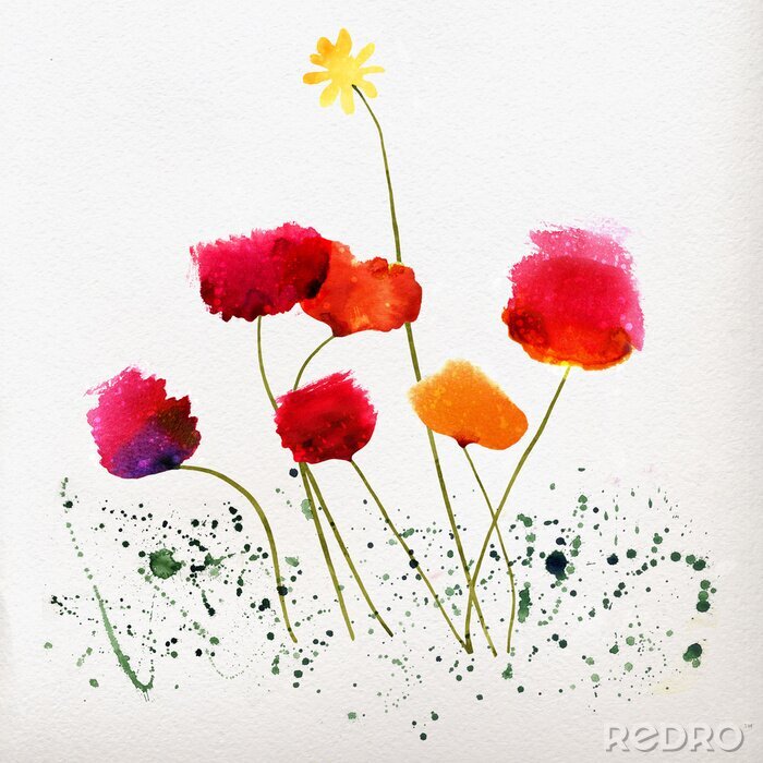 Behang Minimalistisch patroon met klaprozen