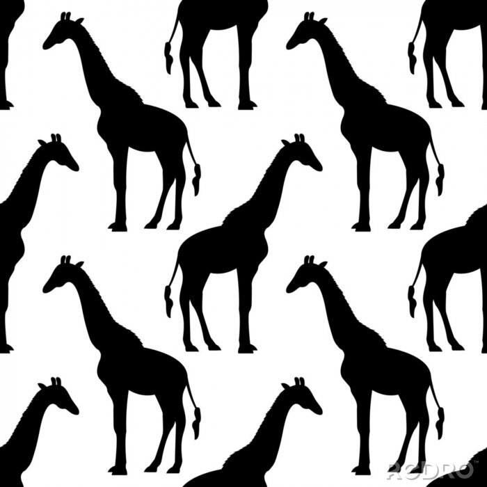 Behang Minimalistisch zwart-wit giraffen naadloos patroon