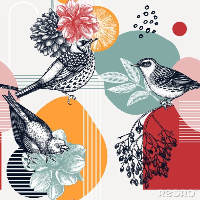Behang Moderne collage met vogels