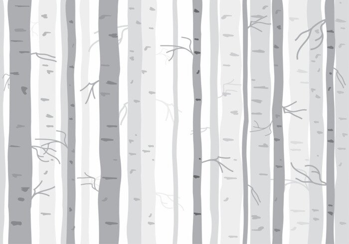 Behang Monochrome berken