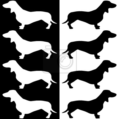 Behang Monochrome teckel honden