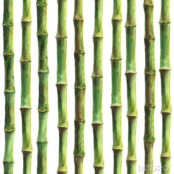Behang Mooie bamboe tekening