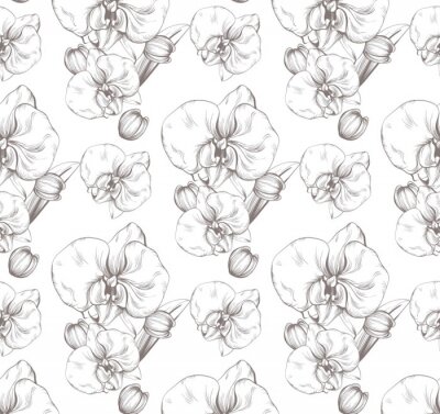 Behang Mooie orchidee bloemen Vector