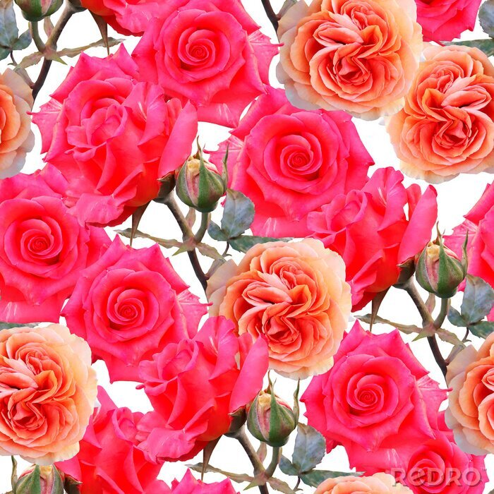 Behang Mooie roze bloemen