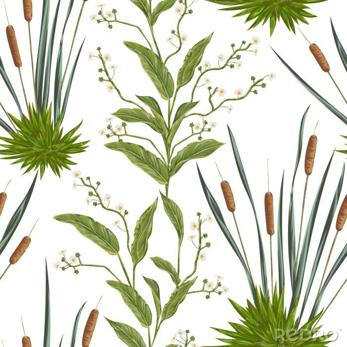 Behang Naadloos patroon met biezen en moerasplanten. Vintage hand getekende vector illustratie in aquarel stijl